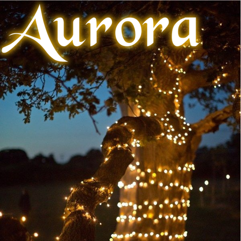 Aurora PRO solcelle lyskæde (200 LED, varm hvid)